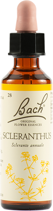Schwabe Pharma Italia Sclerantus Bach Original 20 Ml