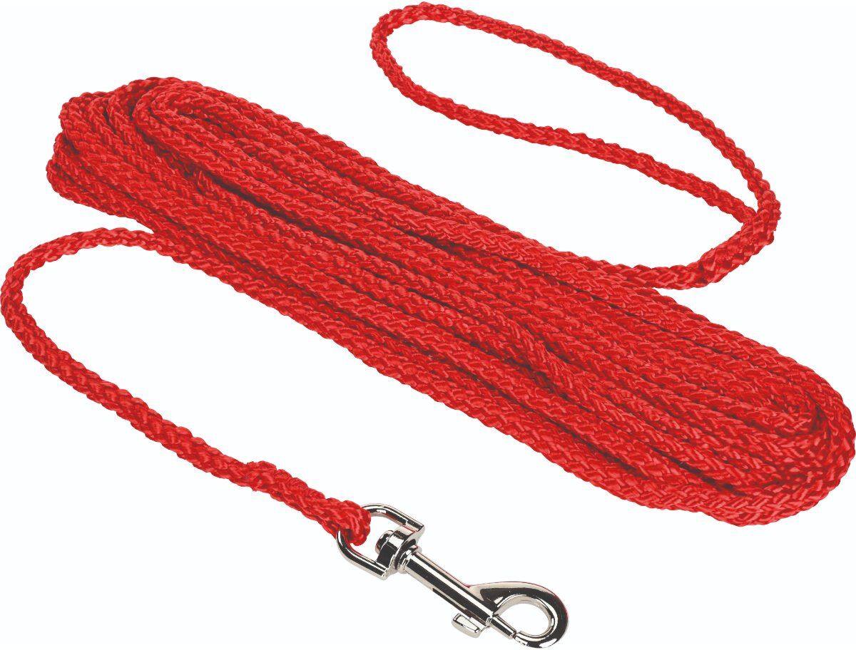 Fit and Fun Guinzaglio da Addestramento Rosso 15M