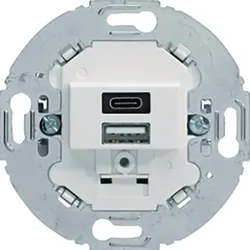 Berker USB A+C Ladesteckdose 230V 260419