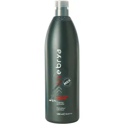 1L Inebrya Activator