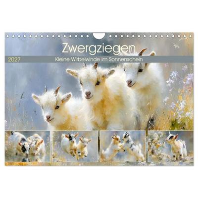 Zwergziegen. Kleine Wirbelwinde im Sonnenschein (Wandkalender 2027 DIN A4 quer), CALVENDO Monatskalender