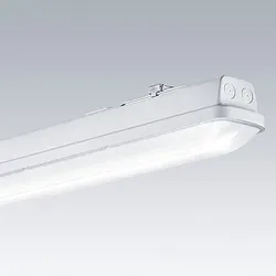 Thorn LED-Feuchtraumleuchte AQFPRO L  #96630757