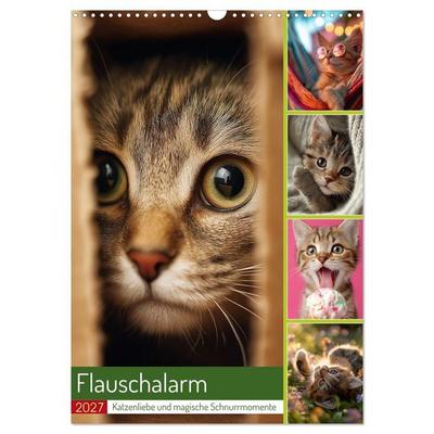 Flauschalarm (Wandkalender 2027 DIN A3 hoch), CALVENDO Monatskalender