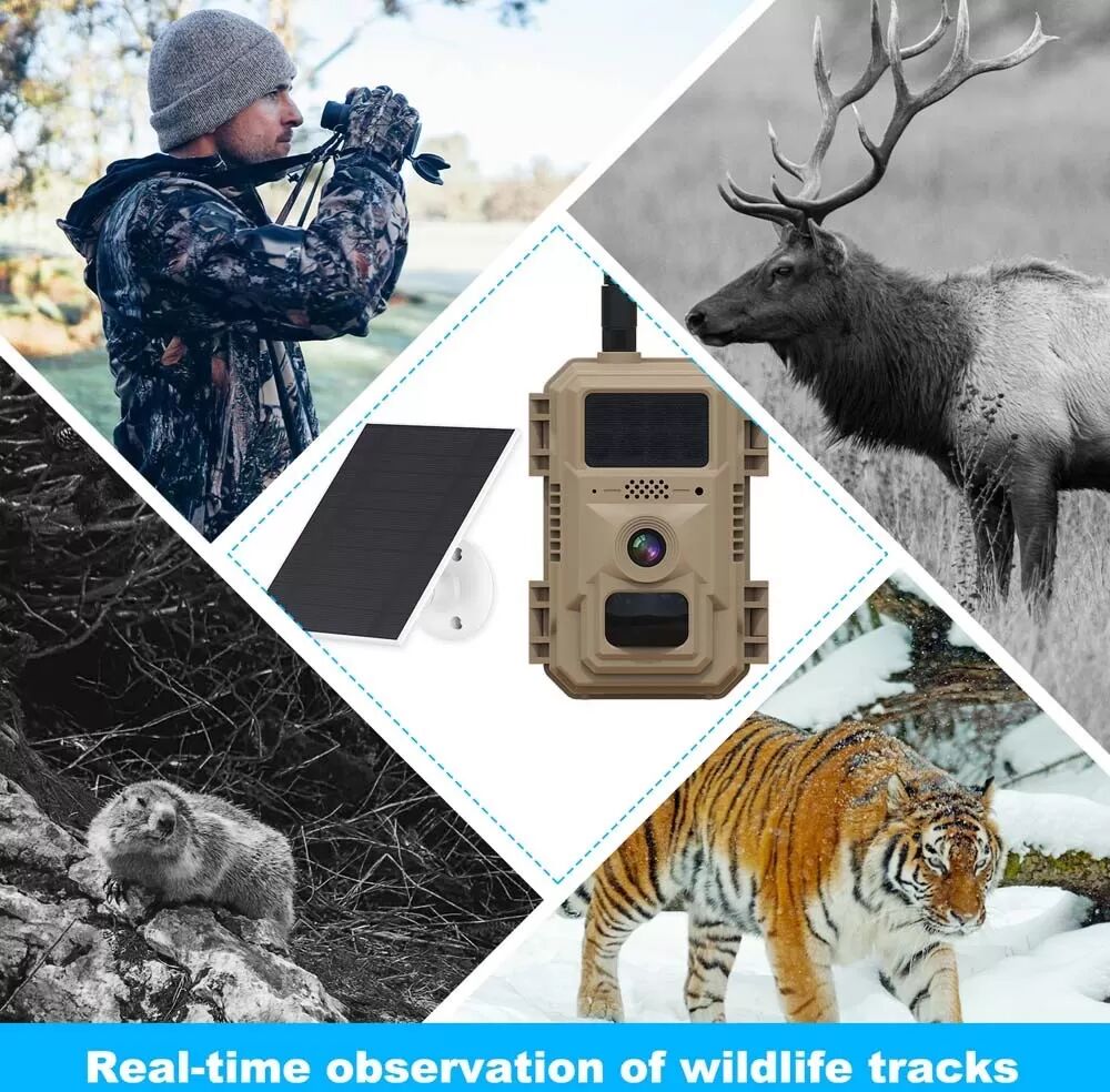 INF 4MP US Version 4G Solarbetriebene, wasserdichte Wildtierkamera mit KI-Tiererkennung