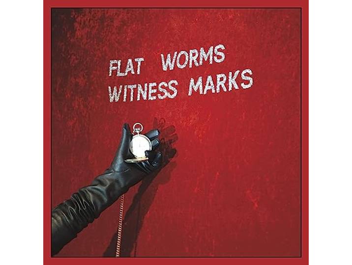 Witness Marks