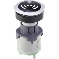 Schlegel RQJNSG+SG-24V Signalgeber Geräusch-Entwicklung: 90 dB Spannung: 24 V/AC Dauerton 1 St.