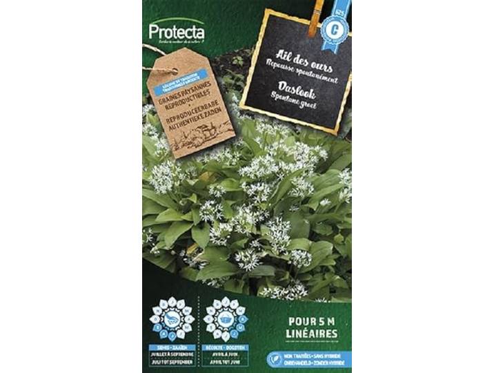 Protecta Kruiden zaden: Daslook