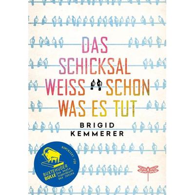 Das Schicksal weiß schon, was es tut, Gebundene Ausgabe von Brigid Kemmerer, Dragonfly