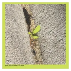 INDIGO, Schallplatten, Close-Up On The Outside - Stardrum,Booker (Booker Stardrum)