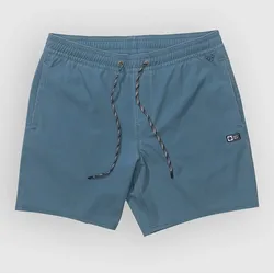 Salty Crew Seadog Volley Boardshorts hydro Gr. XL