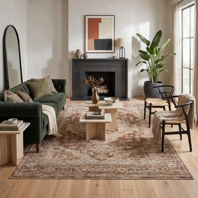 Amer Rugs Albany Vintage Power-Loom Sand Area/Runner Rug