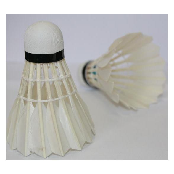 Spartan Publishing Badmintonfedern Feder (6 Stk.) (2089)