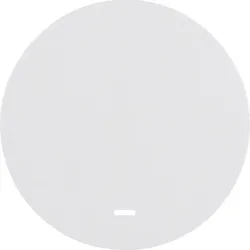 Berker Wippe pows/gl 16212089