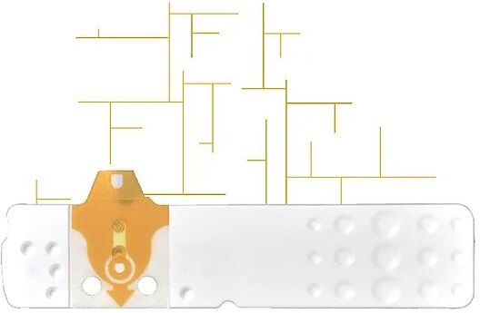 Bioseven Linea D Oro 50Str Glicemia