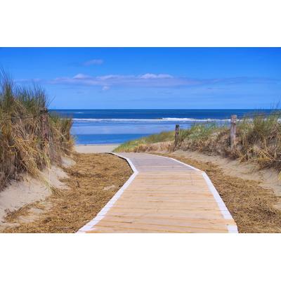 Fototapete PAPERMOON "Langeoog Dunes", bunt, B:3m L:2,23m, Vlies, Tapeten