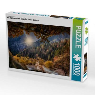 CALVENDO Puzzle Ein Motiv aus dem Kalender Kleine Streuner | 1000 Teile Lege-Größe 64x48cm Foto-Puzzle für glückliche Stunden