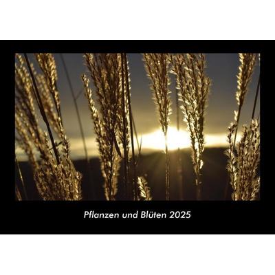 Pflanzen und Blüten 2025 Fotokalender DIN A3