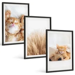 BILDER SET 3er Set - 40x60 cm Schwarzer Rahmen - Niedliche Tiere, Katzen, Hunde, Boho-Stil