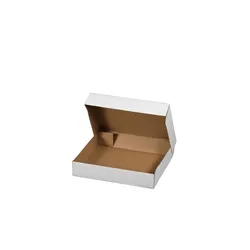 smartboxpro 100 x Klappdeckelkarton 400x300x80mm