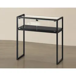 Ausstellungs Vitrine mit Beleuchtung abschließbar JT-TM95T