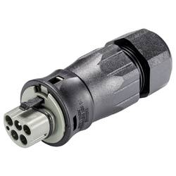 Wieland Electric 99.576.0000.7 Steckverbinder