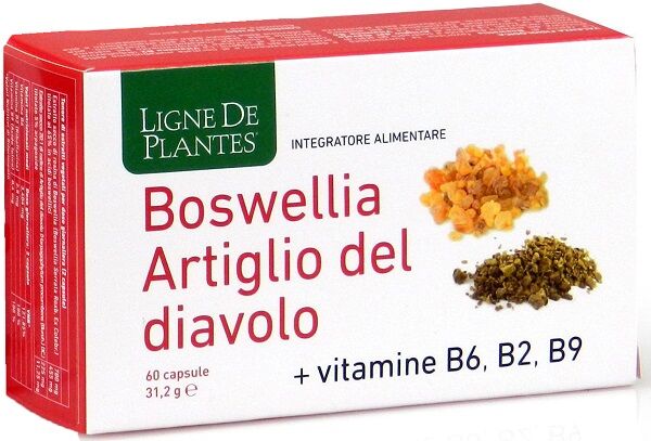 NATURA SERVICE Srl Natura Service, Boswellia Artiglio Diavolo, 60 Capsule