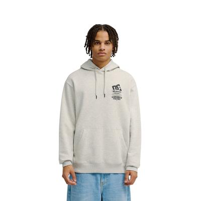 Hoodie DC SHOES "DC Sport Stack", Herren, Gr. L, grau (light erdgrau), Obermaterial: 55% Baumwolle, 25% Baumwolle, 20% Polyester., Sweatshirts Hoodie