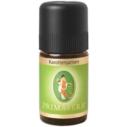 Karottensamen