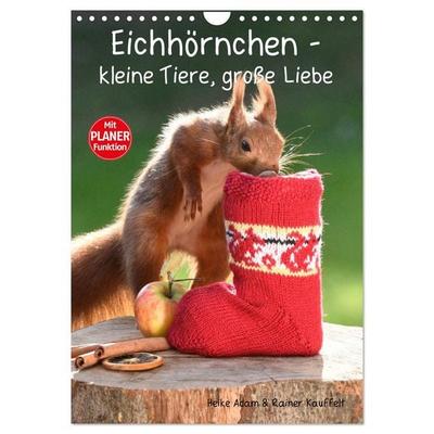 Eichhörnchen - kleine Tiere, große Liebe (Wandkalender 2026 DIN A4 hoch), CALVENDO Monatskalender