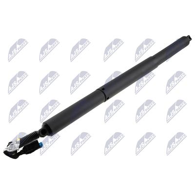 NTY Gasfeder, Koffer-/Laderaum AE-BM-171 für BMW