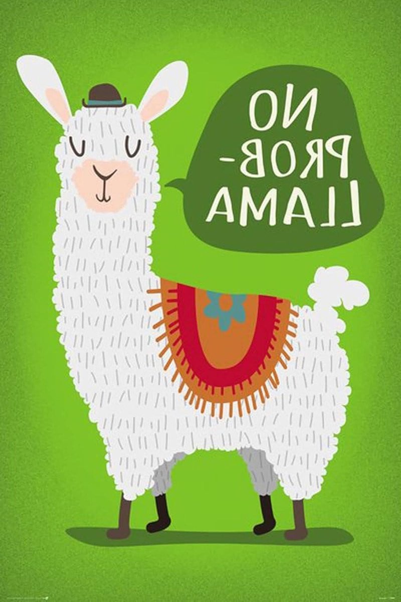 Llama Poster Dieren Wanddecoratie met Wissellijst Zwart 61 x 91,5 cm