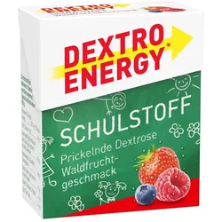 DEXTRO ENERGY Schulstoff Waldfrucht Täfelchen 50 g