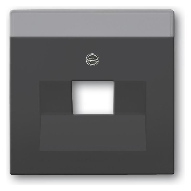 Busch-Jaeger Zentralscheibe (2CKA001710A3912)