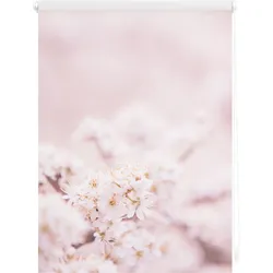Lichtblick Rollo Klemmfix, ohne Bohren, Verdunkelung, Kirschblüten - Rosa Weiß