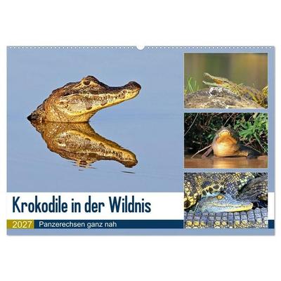 Krokodile in der Wildnis (Wandkalender 2027 DIN A2 quer), CALVENDO Monatskalender