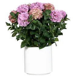 Kunstblume Hortensien-Arrangement 86 cm Kunststoff Pink