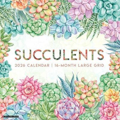 Succulents--Large Grid 2026 Wall Calendar