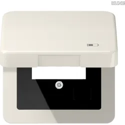 Jung Klappdeckel Symbol USB-Ladegerät CD 590 KL USB
