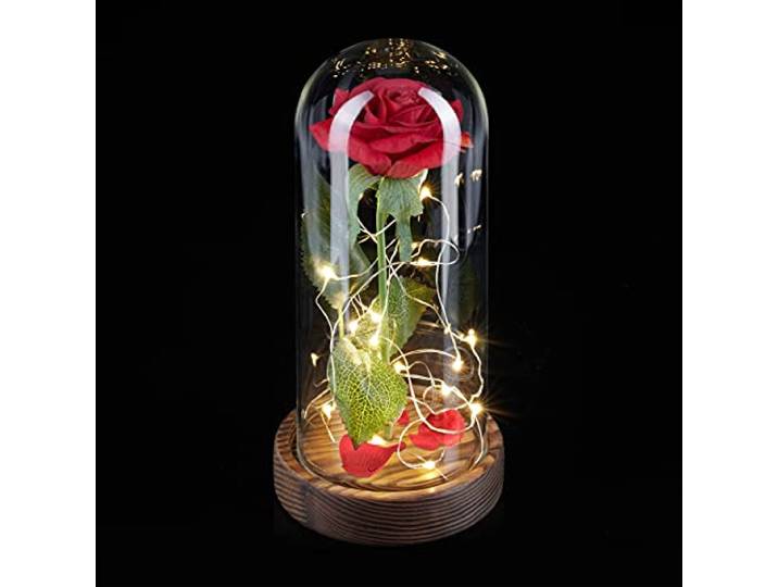 Relaxdays Rose éternelle sous Cloche\, avec lumière\, Cadeau pour Femmes\, la Belle et la Bête\, Fleur Artificielle\, Rouge