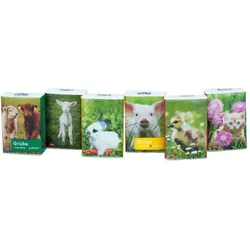 Taschentücher Pocket Tierkinder