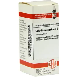 Caladium Seguin C30 10 G