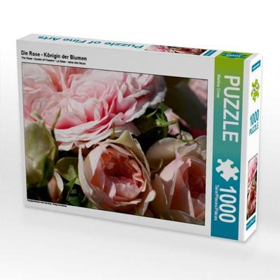 CALVENDO Puzzle Die Rose - Königin der Blumen | 1000 Teile Lege-Größe 64x48cm Foto-Puzzle für glückliche Stunden