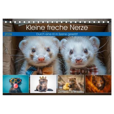 Kleine freche Nerze (Tischkalender 2026 DIN A5 quer), CALVENDO Monatskalender