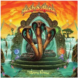 Terra Firma, Schallplatten