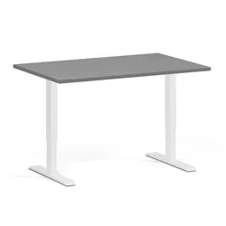 Höhenverstellbarer Schreibtisch, 2 Motoren, 74-121 cm, Tischplatte 120x80 cm, weißes Metallgestell, Graphit