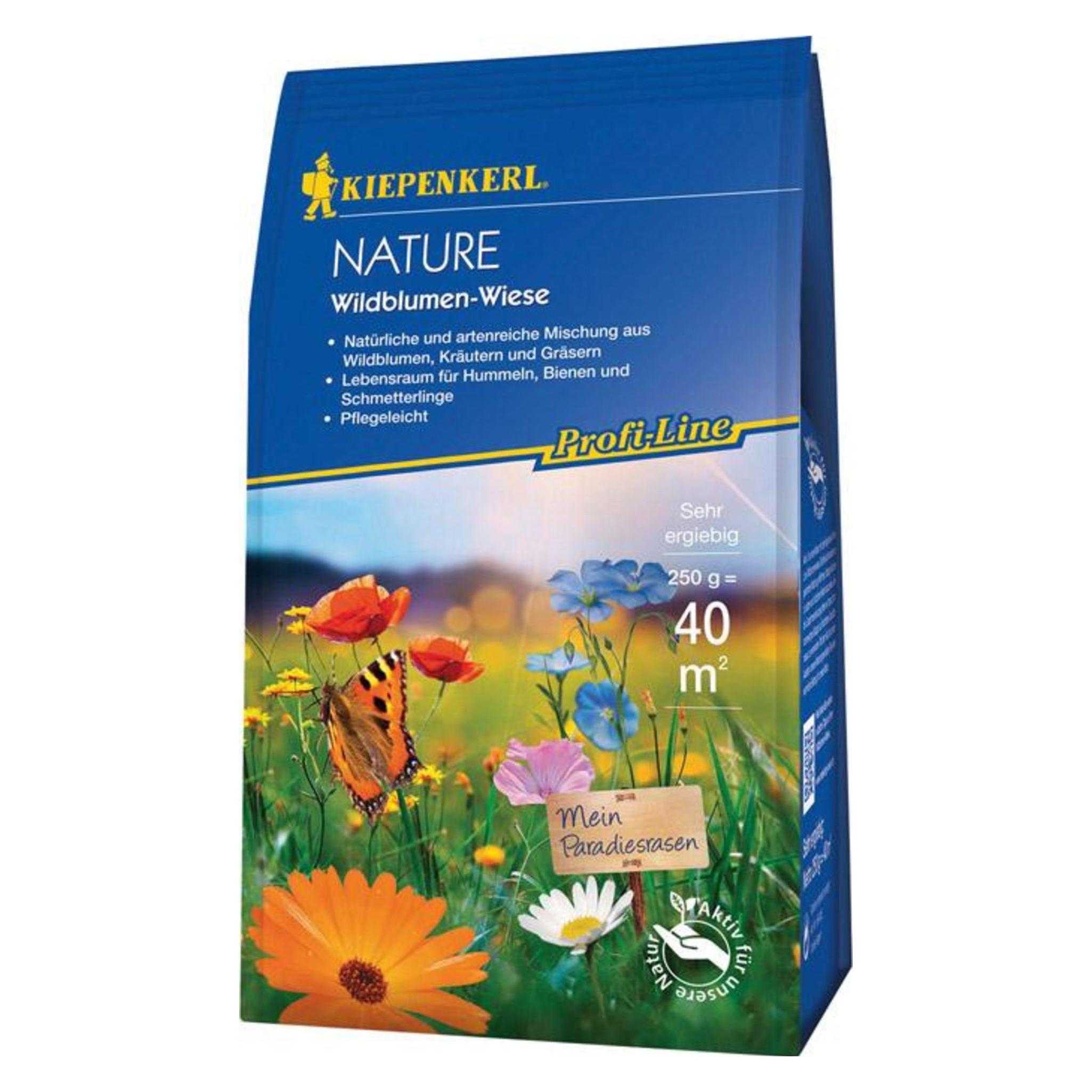 Kiepenkerl Blumenwiesensamen P.L. Nature Wildblumen-Wiese 0,25 kg 40 m (Blumensamen) (664005)