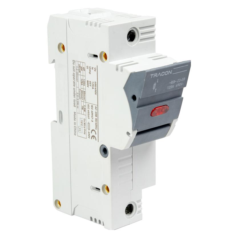 Tracon Allgemeines Produkt (100 A) (TR-CFBL1P100)