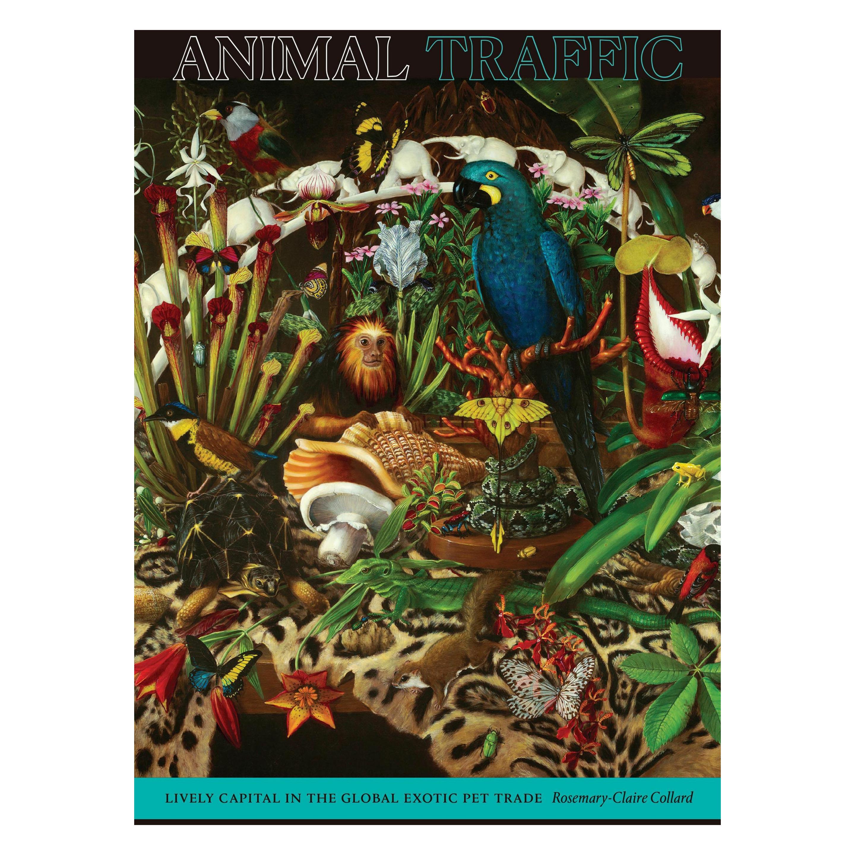 Duke Univ Pr Animal Traffic: Lively Capital in the Global Exotic Pet Trade (Englisch, Rosemary-Claire Collard) (45740028)