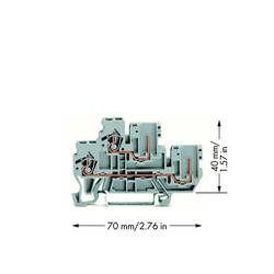 WAGO 870-101 Doppelstock-Basisklemme 5 mm Zugfeder Belegung: L Grau 50 St. Package