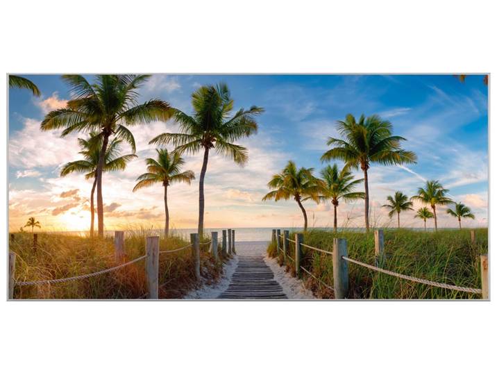 Bild mit Rahmen Palmen am Strand image LAND